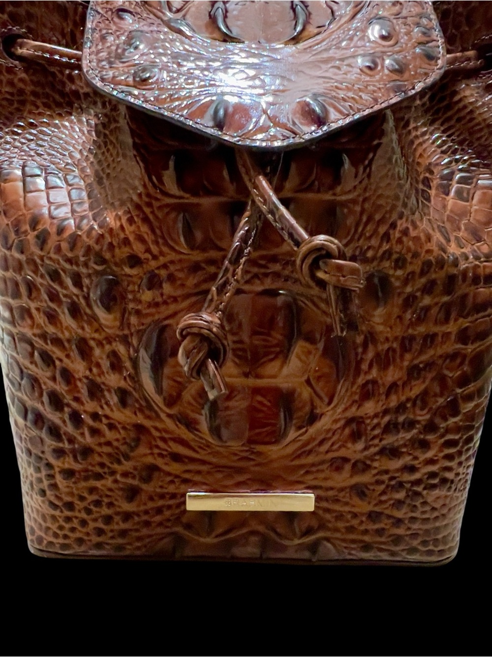 Brahmin Leather Kendall Backpack Bag, Pecan Melbourne, 3 Sets of Eyes!